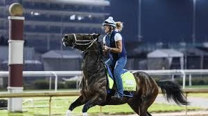 KENTUCKY DERBY 152! Our TOP 5 Contenders for Saturday's Run for the Roses — Commandment LEADS the Pack!